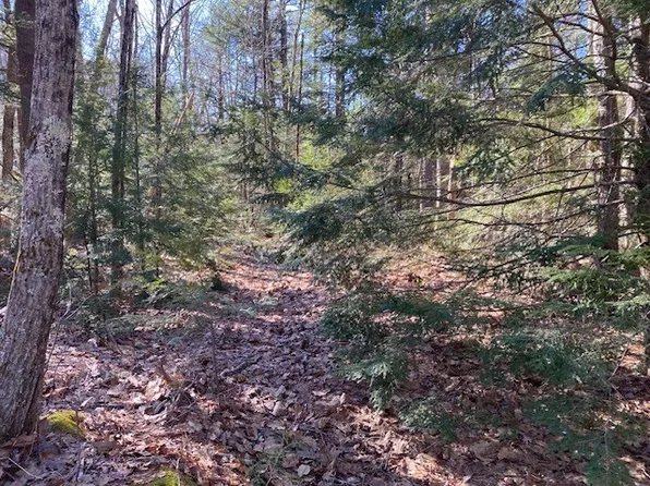 0 Healdville Rd, Hubbardston, MA 01452