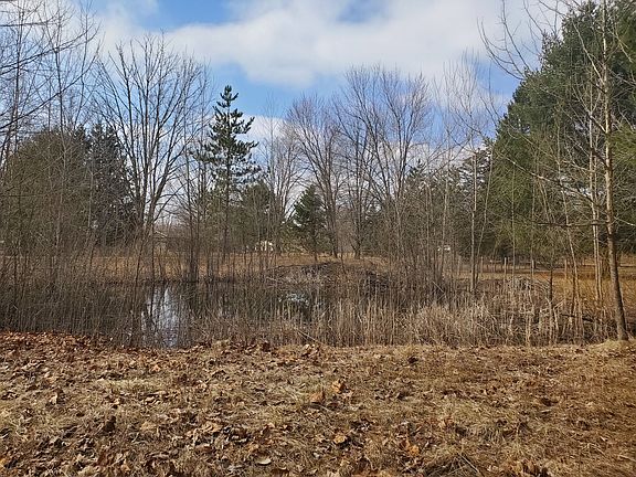 Side yard looking at pond.