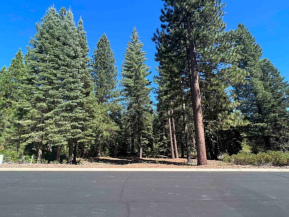 4th image of 109 Fox Pine Dr