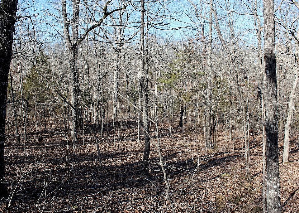 2nd image of 144 Backbone Rd