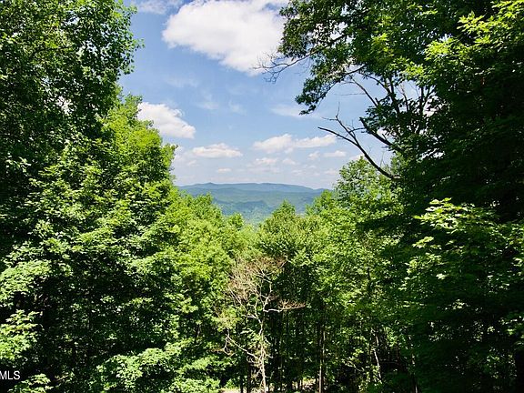 3rd image of 1241 Old Cades Cove Rd