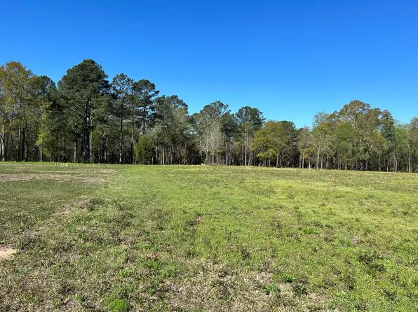 16.14 Ac Lees Bridges Rd, Midland City, AL 36350
