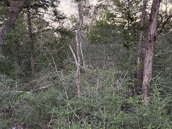 5th image of LOT 4 Spruce St