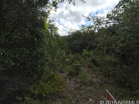 2nd image of 1491 Ray Lyn Dr