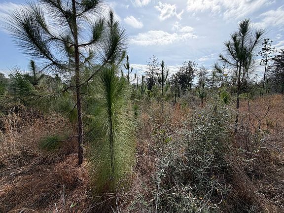 4th image of 0 Comalander Rd