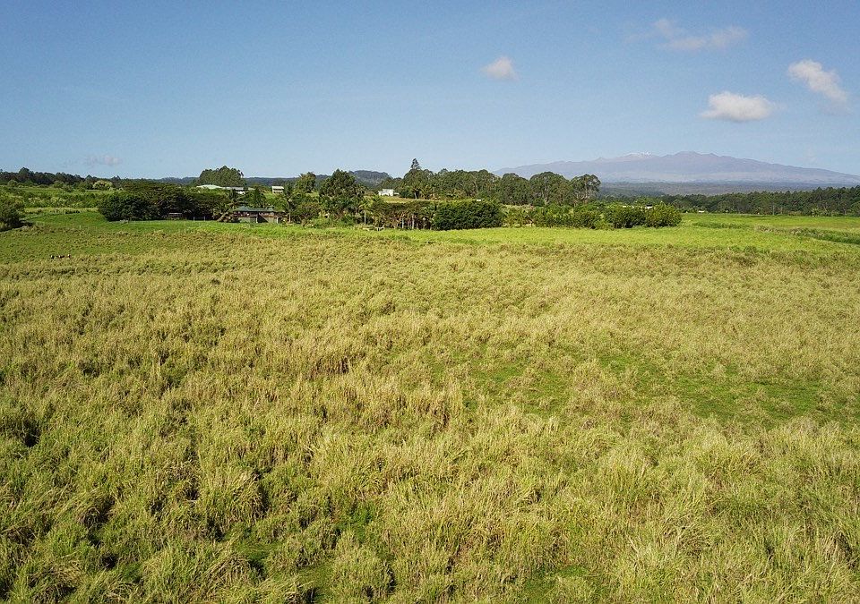 2nd image of Opua Rd Lot 11