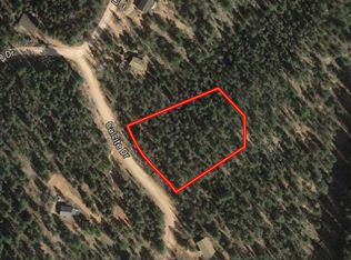 1101 Calcite Dr, Divide, CO 80814