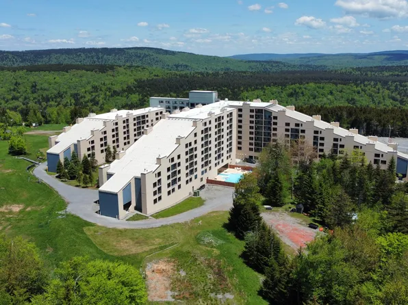 862 Silver Creek Ln #1315-1317, Camden On Gauley, WV 26208