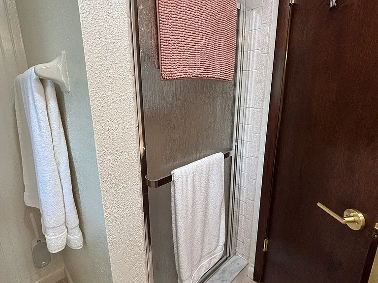 Master bath shower.