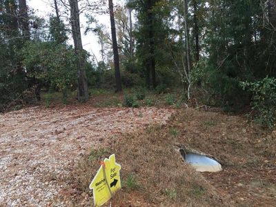 3046 Ed Tolar Rd, Pansey, AL, 36370