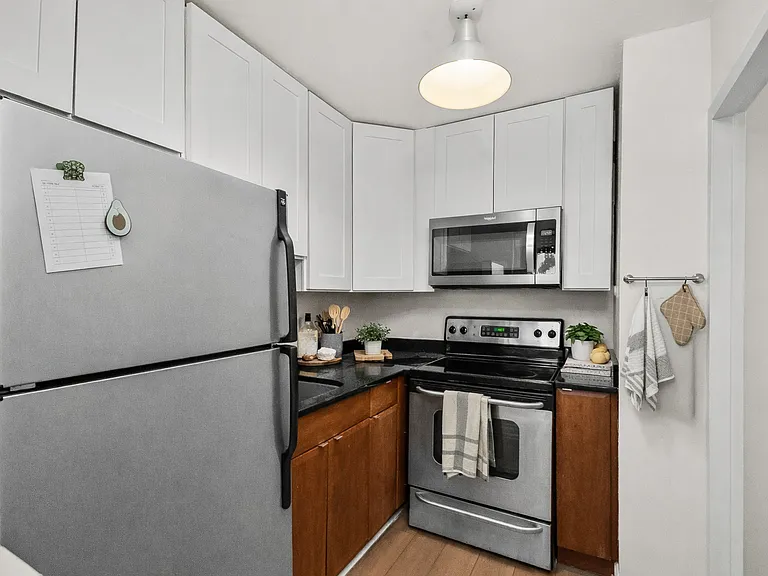1360 N Sandburg Ter #2809 — Photo 7