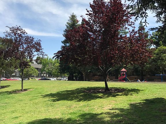 Park in front of the house