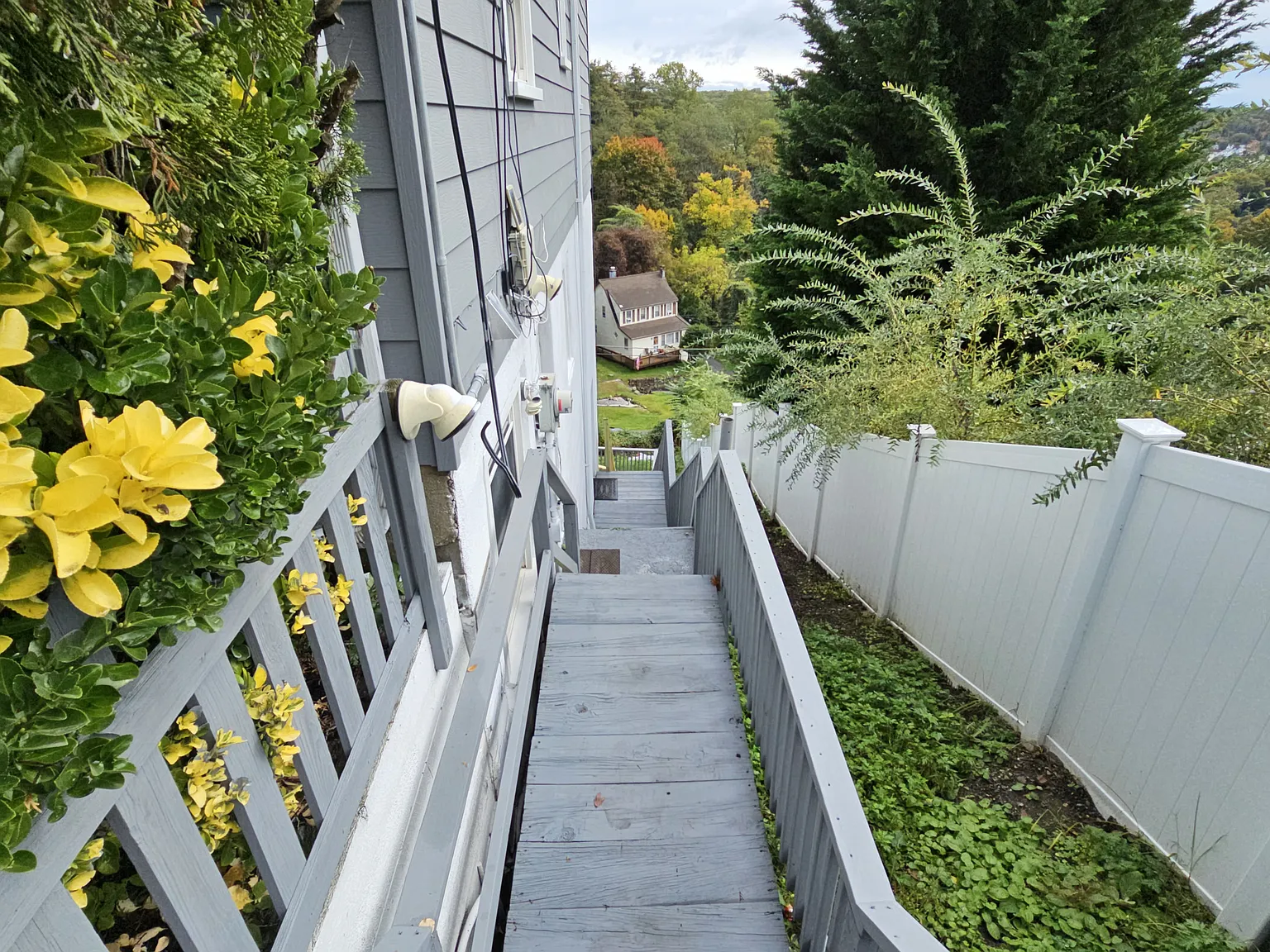 5 bed, 2056 sqft, $6,100 — Photo 4