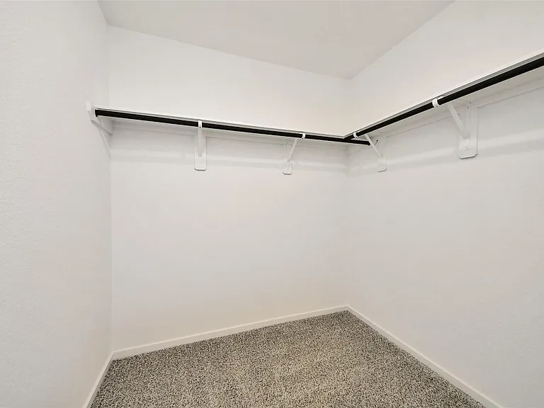 27458 Serene Pine Dr — Photo 17