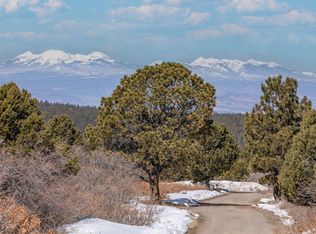 950 S Avalon Dr #11, Norwood, CO 81423