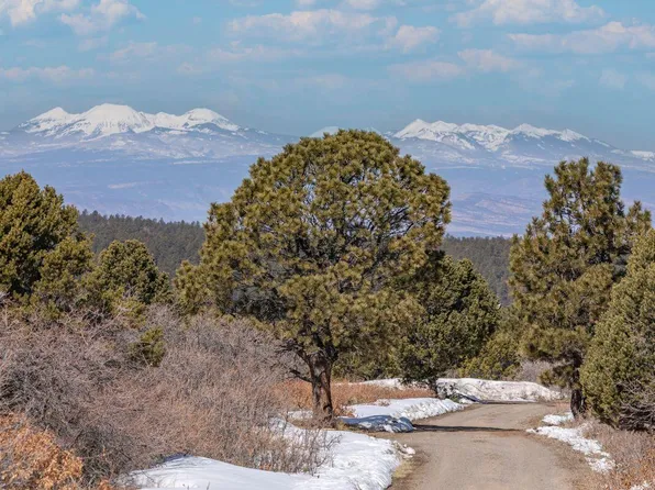 950 S Avalon Dr #11, Norwood, CO 81423