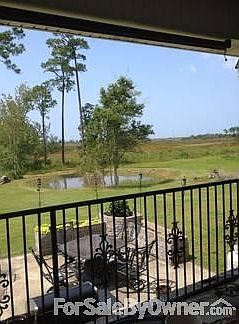 View from back porch