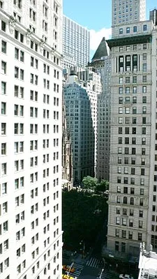 Rented by Town Residential | media 59