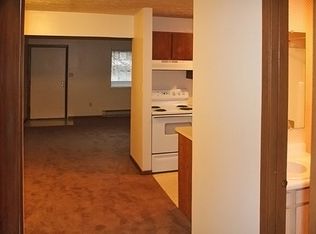 RARE VACANCY: Great 1 BR Apartment in a Great Complex - Most Convenient Location!, Akron, OH 44306