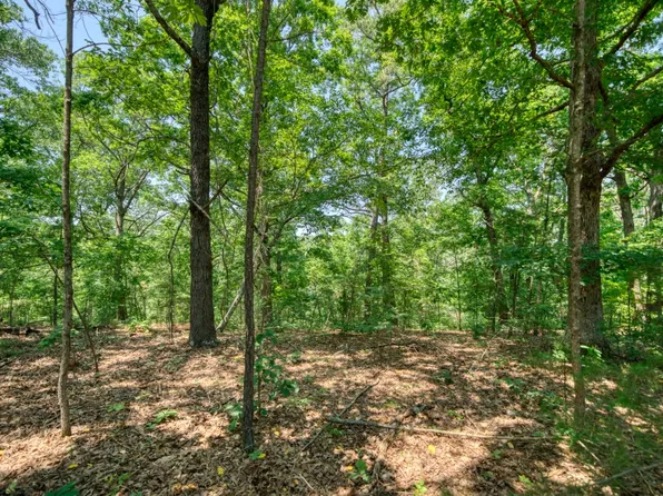 Pine Ridge Lane C Street 5 #3-4-6, Eureka Springs, AR 72631