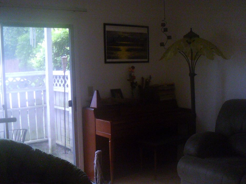 Living Room and Patio