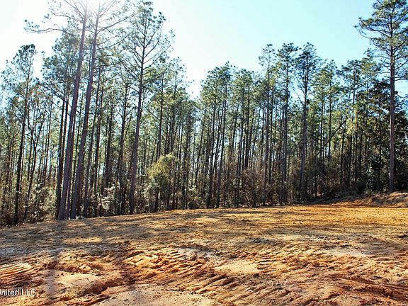 2nd image of 110AC Gardenia Dr Lot 3