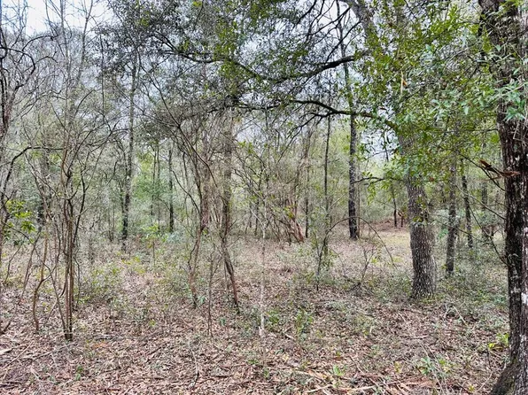  NE 113th Ln, Bronson, FL 32621