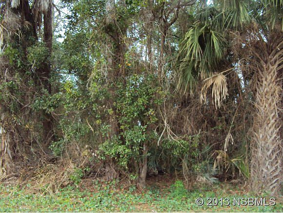 2nd image of 1929 Sabal Palm Dr