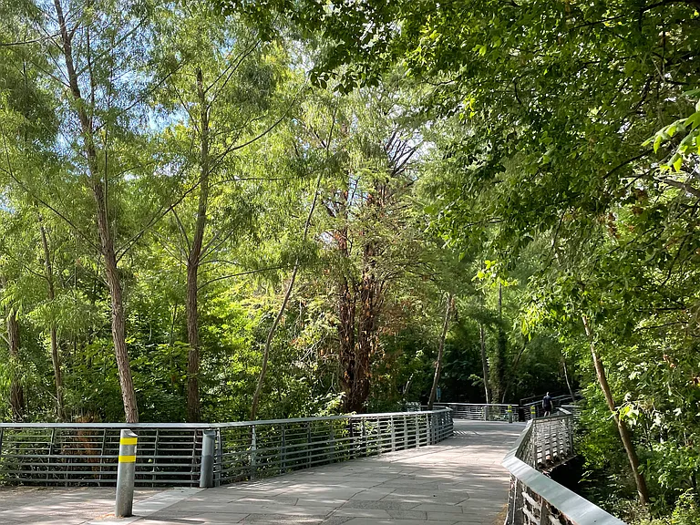 1500 Eastside Dr #114 — Photo 43
