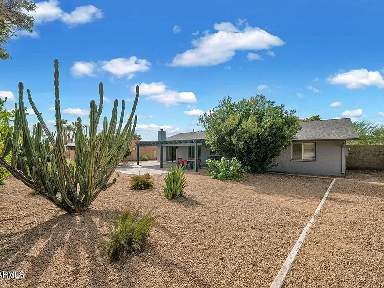Backyard.