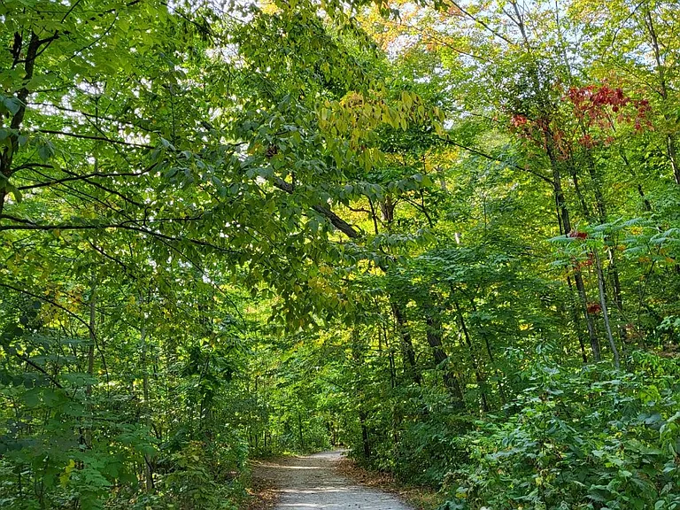 1905 Broad Hollow Gate #25 — Photo 27