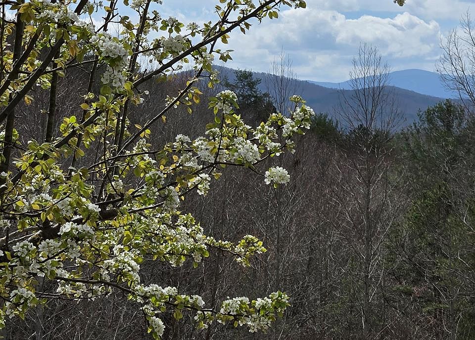 1st image of 8.5 Blue Berry Rdg