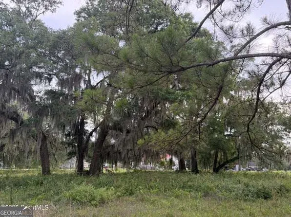 119 Sapelo Cir Lot 38, Darien, GA 31305