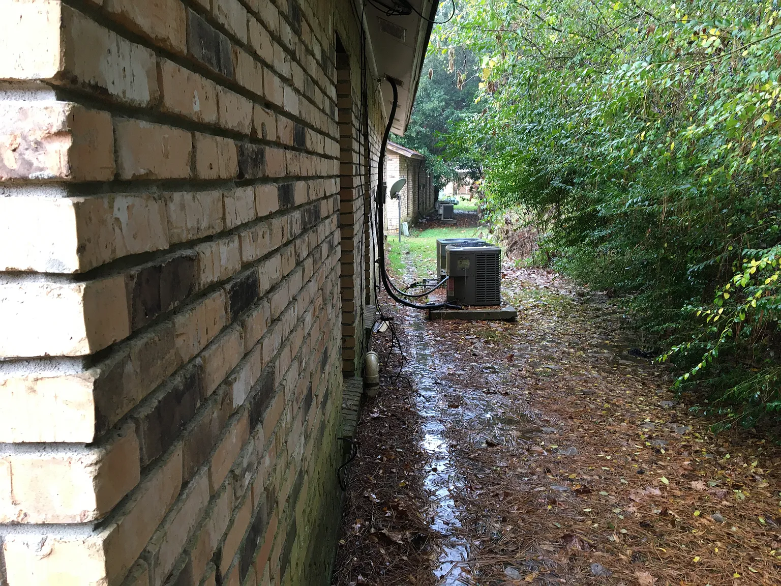 R- 3024 Courtney Avenue - 1 — Photo 4