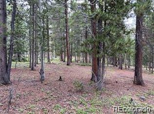 3 Paiute Rd, Evergreen, CO 80439