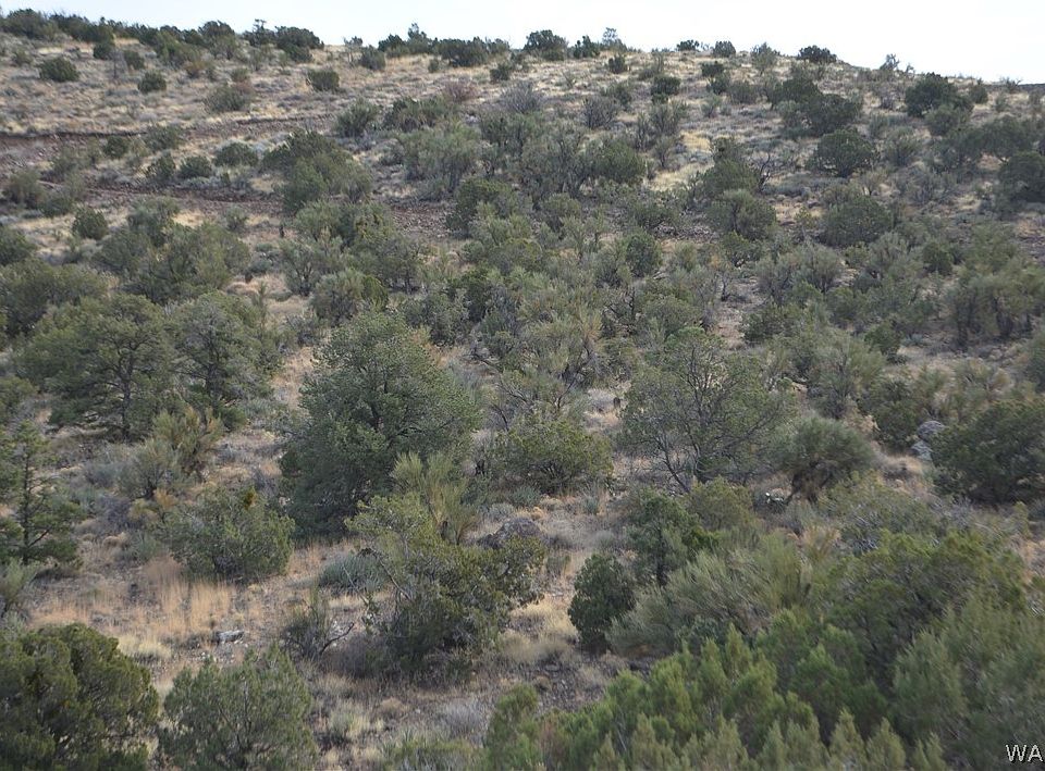 15G S Branding Iron Ln, Kingman, AZ 86401 MLS 998797 Zillow