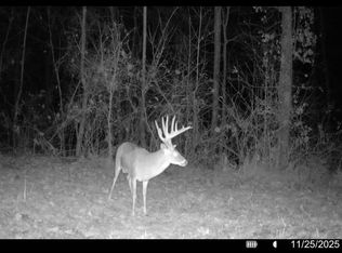 0 Lee #215, La Grange, AR 72352