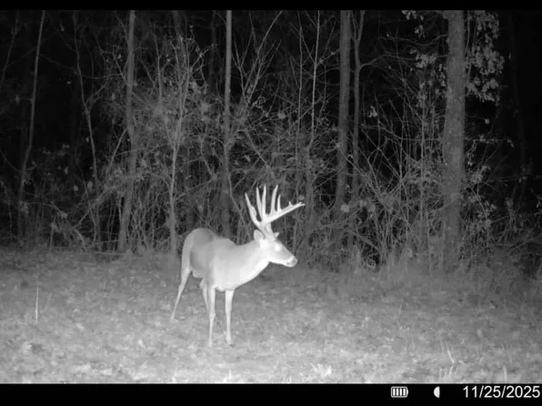 0 Lee #215, La Grange, AR 72352