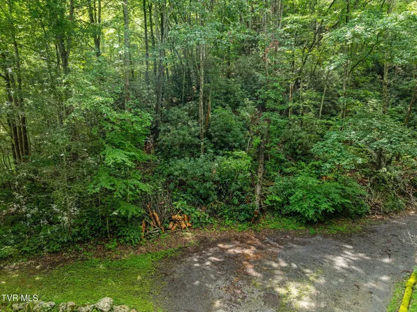 Omaha Rd, Del Rio, TN 37727