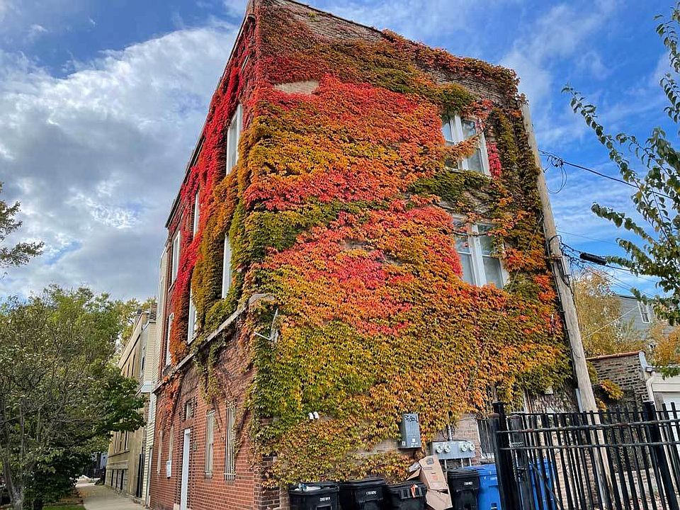 1st image of 2048 W Evergreen Ave