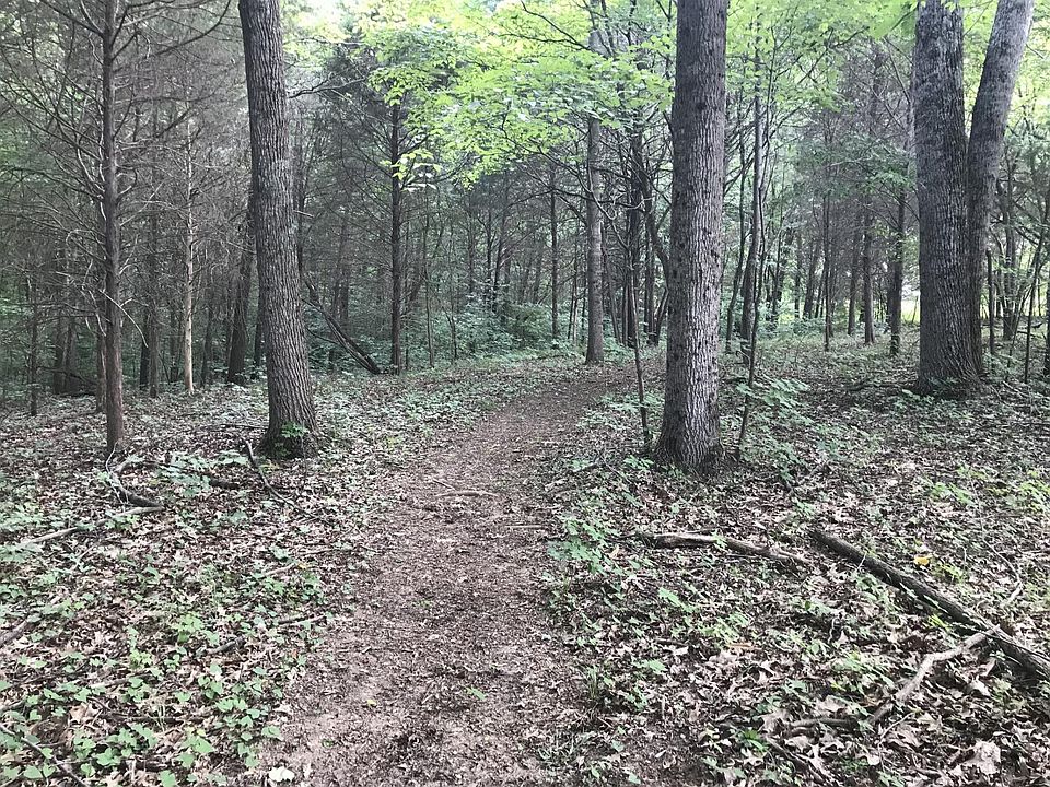 2nd image of 300 Miller Rd