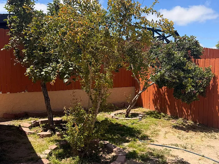 98 E Palomar St — Photo 20