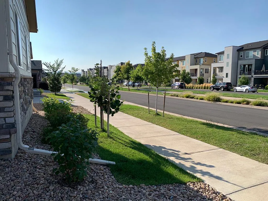 4 bed, 2.5 bath, 2730 sqft, $3,595 — Photo 4