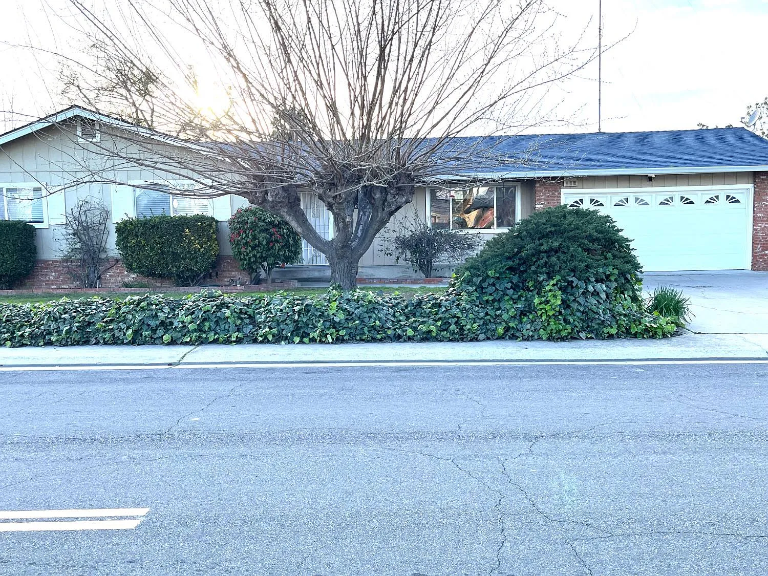 2109 Shushan Dr photo 1