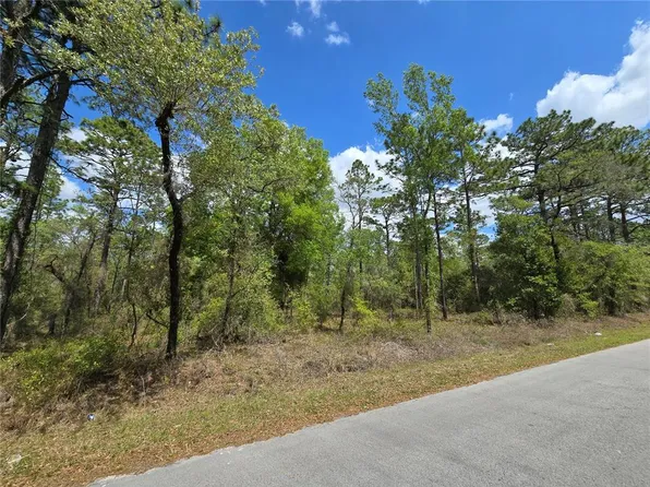 24345 NW Water Oak Ave Lot 59, Dunnellon, FL 34431