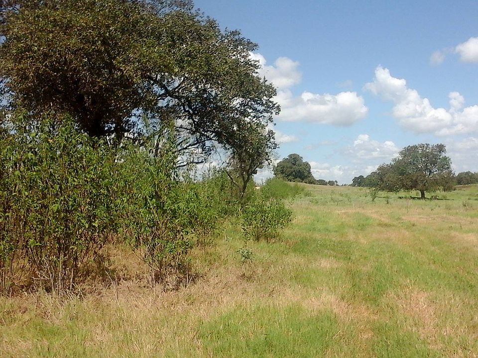 2nd image of CR 235
