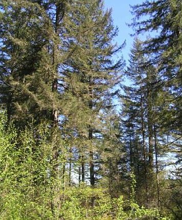 4th image of 0 NE 147th Ave
