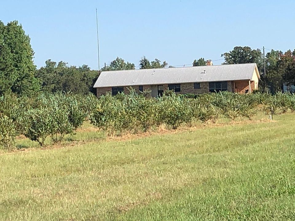 House sits behind Owners Blueberry Orchard