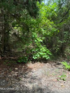 Gene Acres Ln LOT 7, Vancleave, MS, 39565