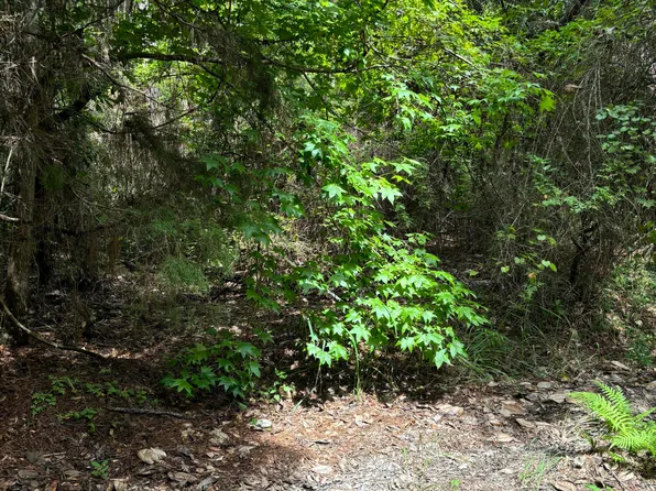 Gene Acres Ln Lot 7, Vancleave, MS 39565